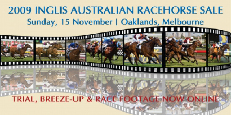Inglis Australian Racehorse Sale Catalogue and Footage Online