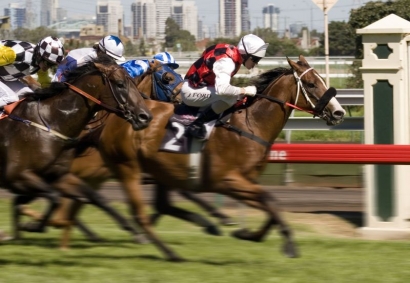 Updates continue to flow for the inaugural Australian Racehorse Sale