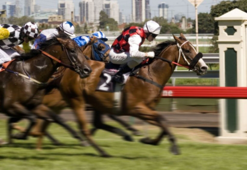 Updates continue to flow for the inaugural Australian Racehorse Sale