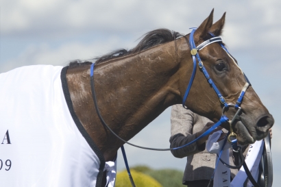 Tongues wagging over how Cox Plate favourite Whobegotyou was named