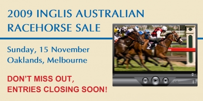 2009 Inglis Australian Racehorse Sale - Entries Closing Soon