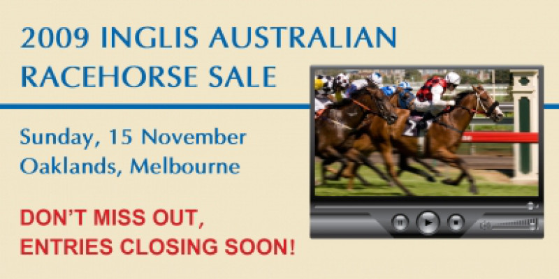 2009 Inglis Australian Racehorse Sale - Entries Closing Soon