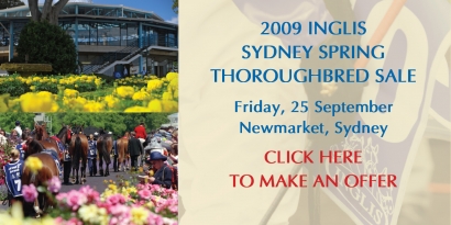 Inglis Sydney Spring Thoroughbred Sale - Make an Offer