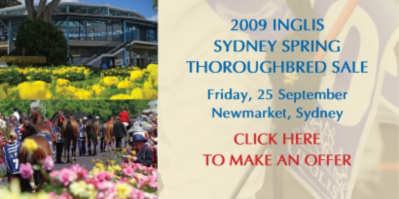 Inglis Sydney Spring Thoroughbred Sale - Make an Offer