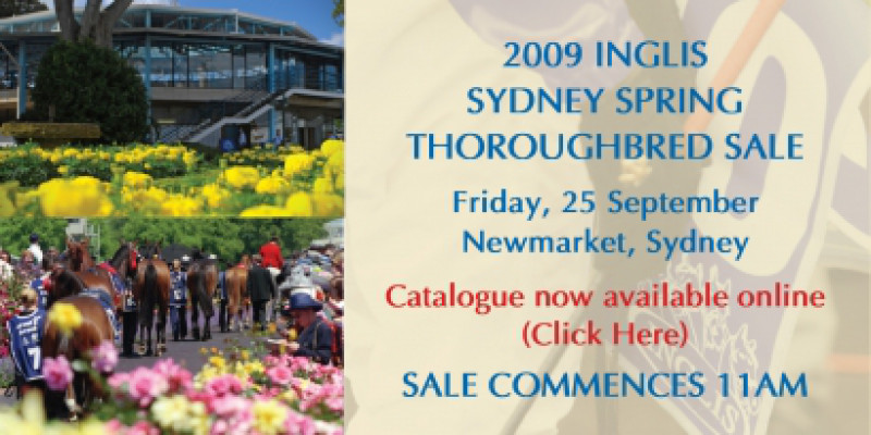 2009 Inglis Spring Thoroughbred Sale