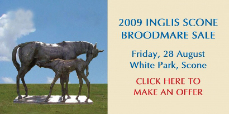 Scone Broodmare Sale - Make an offer