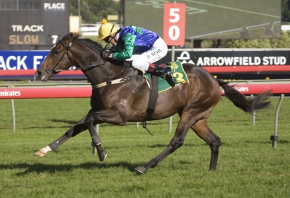 Patinack has a lot on its plate for new season