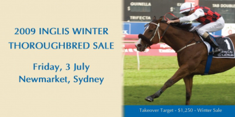 Inglis Winter Thoroughbred Sale This Friday - Supplementary lots online