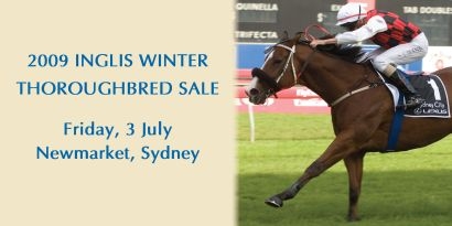 2009 Winter Thoroughbred