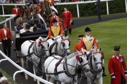 Inglis Picnic Toasts Another Aussie Victory