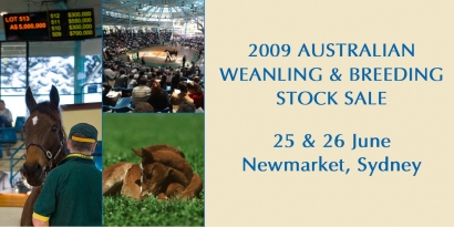 Australian Weanling & Breeding Stock Sale
