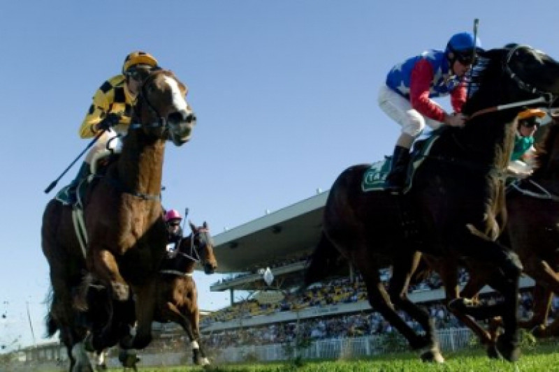 Asian Racing Federation elects new chairman