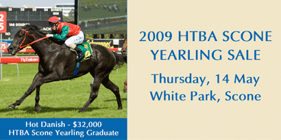 2009 Scone Yearling Sale