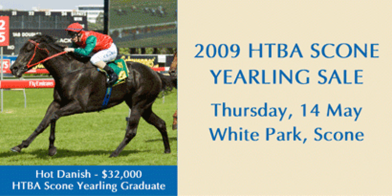 2009 Scone Yearling Sale