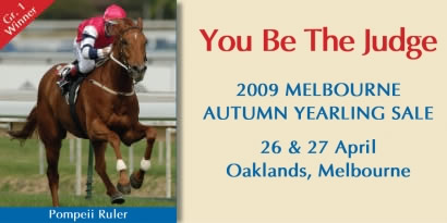 Autumn Yearling Sale