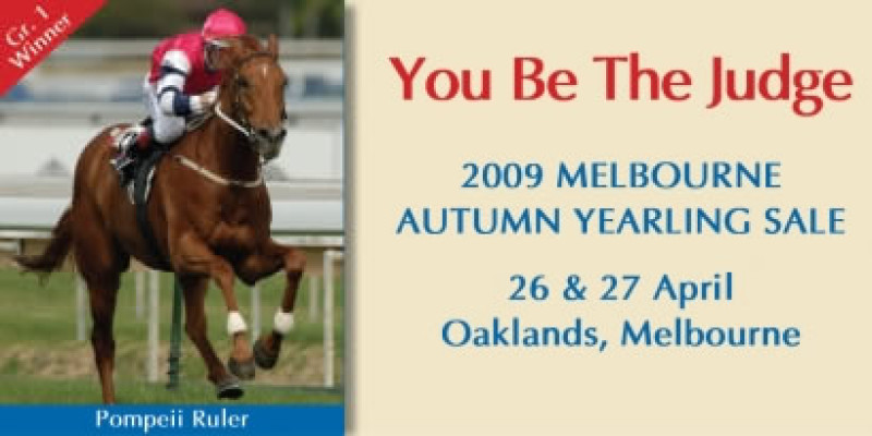 Autumn Yearling Sale