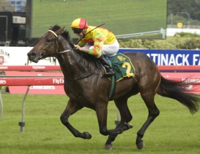 Manhattan Rain pressing for juvenile crown