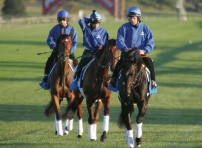 Werribee firms as quarantine centre