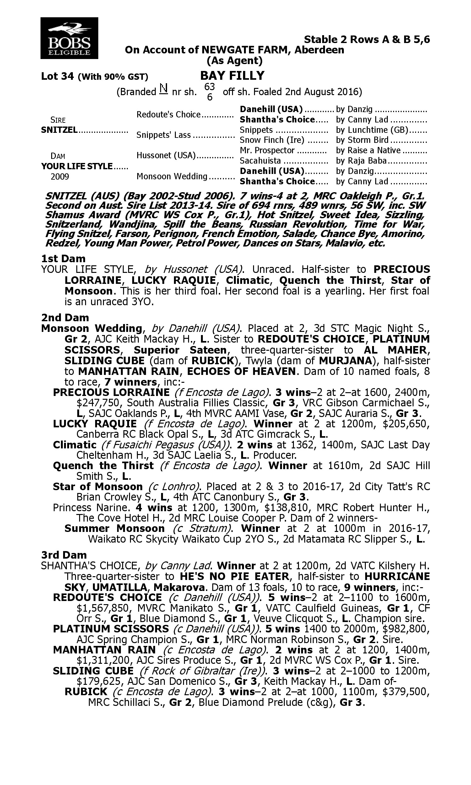Pedigree for Lot 34 Snitzel - Your Life Style