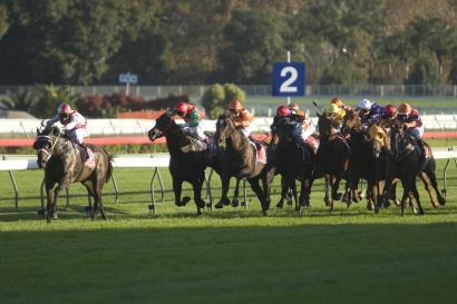 Luxbet can't separate Doncaster favourites