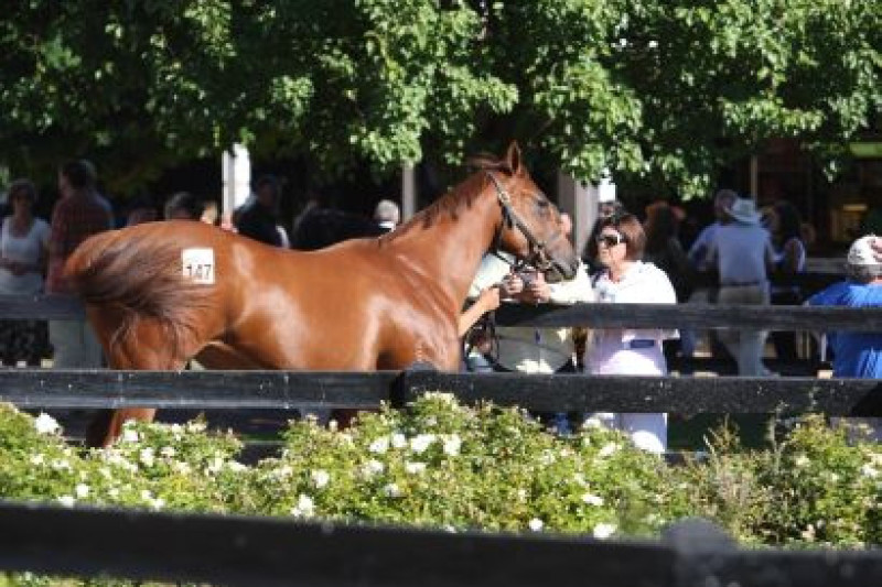 $634K Grossed At March Thoroughbred Opener