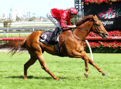 Secret Flyer out to land Newmarket