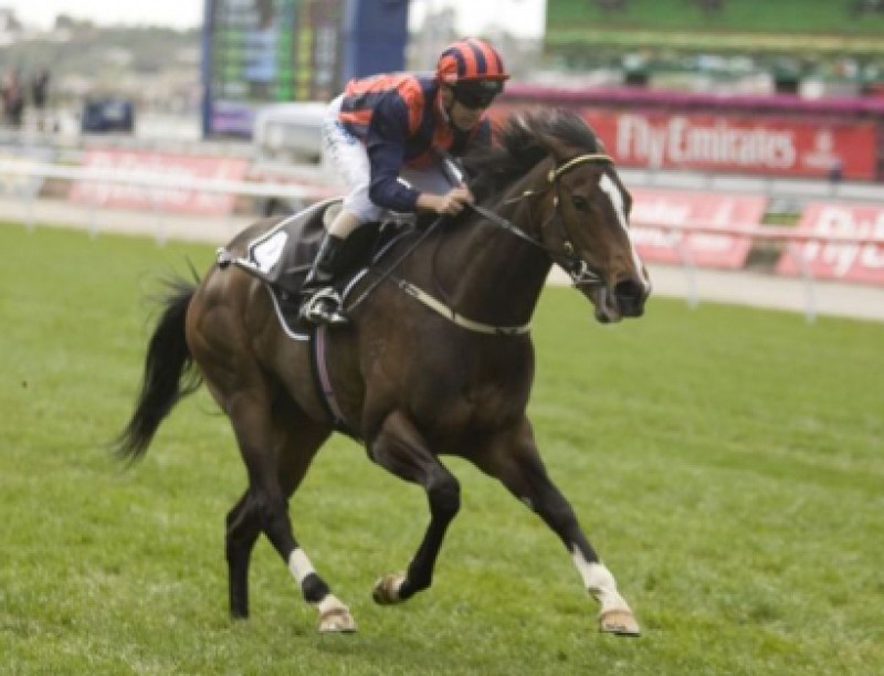 Rostova Runs For The Firies