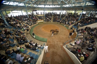 Programme Changes for Inglis Classic Yearling Sale