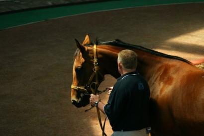 Important Inglis Entries Close This Friday