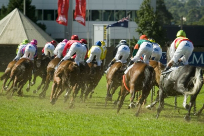 Strong nominations for the BMW