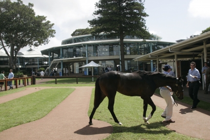 Yearlings Arrive at Newmarket Ahead Of Sunday’s Classic Sale Opener