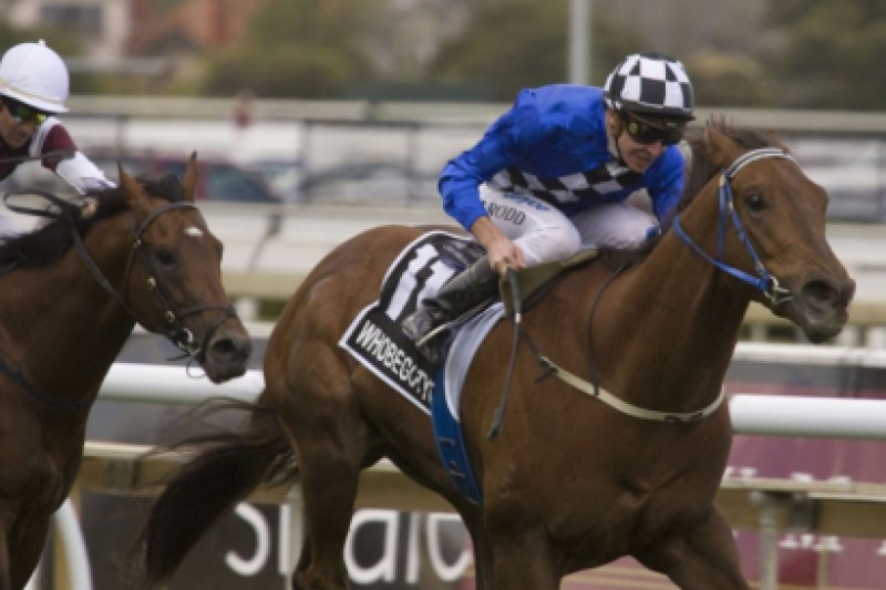 Whobegotyou In Doubt For Australian Guineas