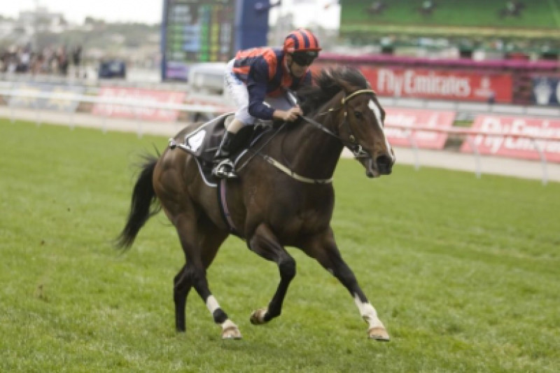 Rostova heads Blue Diamond Preview noms