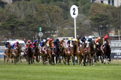 Japan Trainer Eyes Melb Cup With Singapore Star