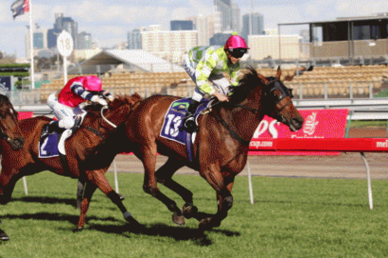 Littorio back bigger and better and heading for Doncaster