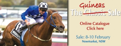 2009 Classic Yearling Sale