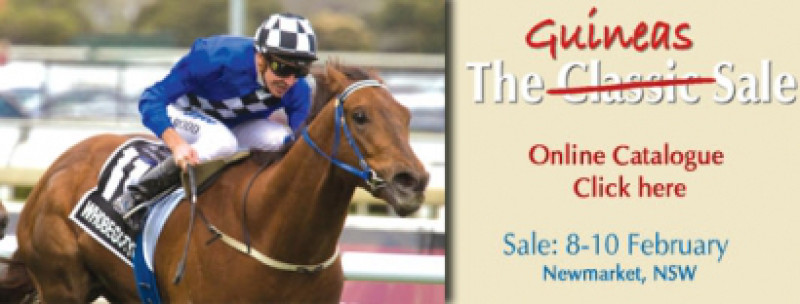 2009 Classic Yearling Sale