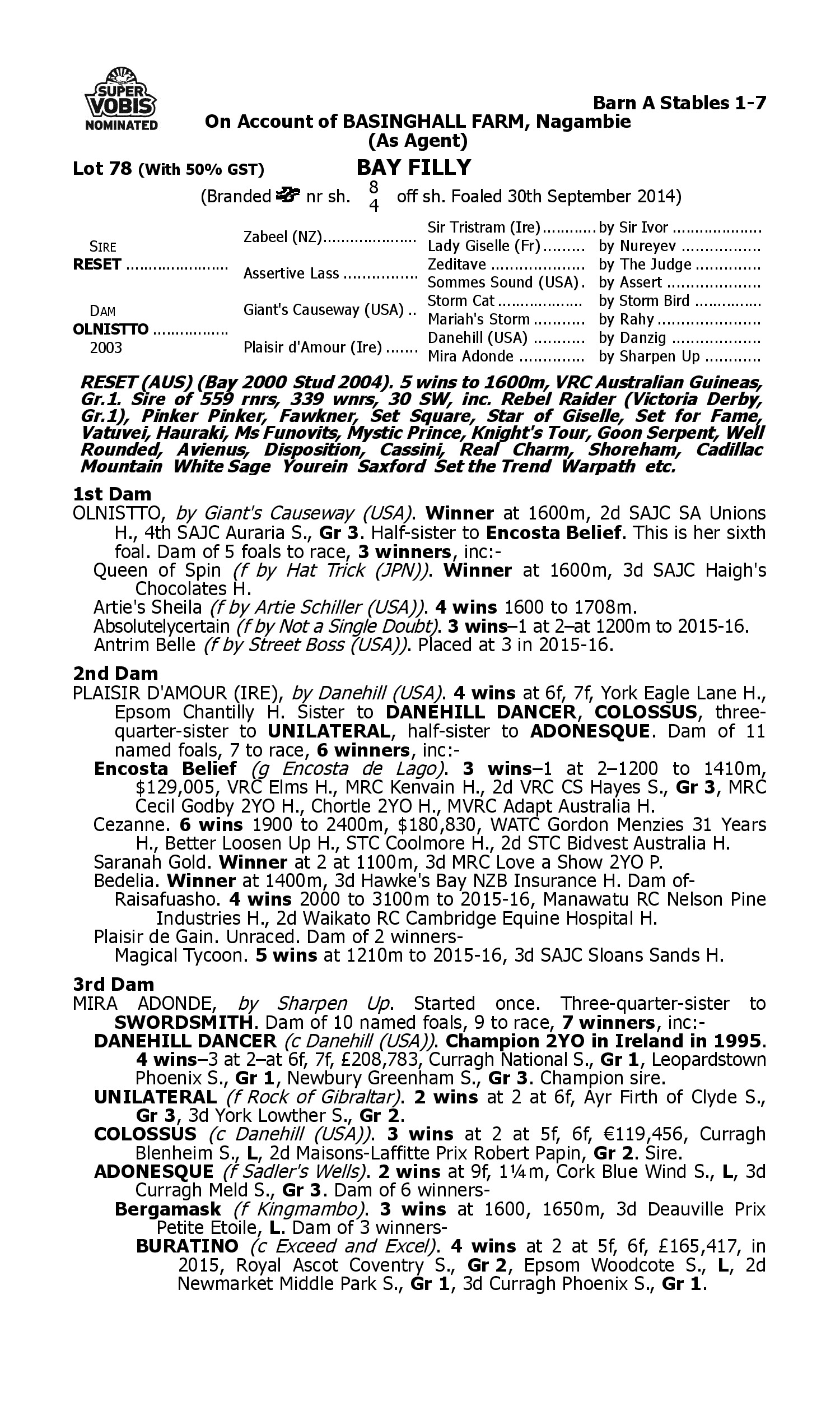 Pedigree for Lot 78 Reset - Olnistto