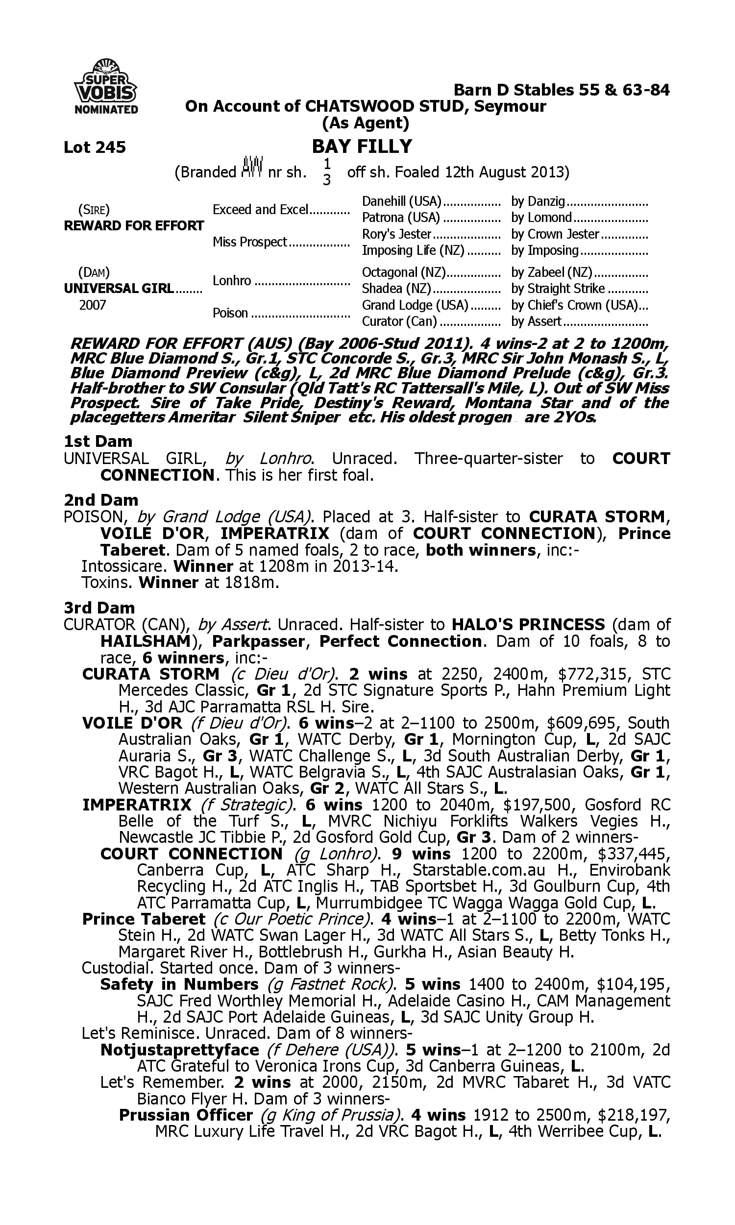 Pedigree for Lot 245 Reward for Effort - Universal Girl