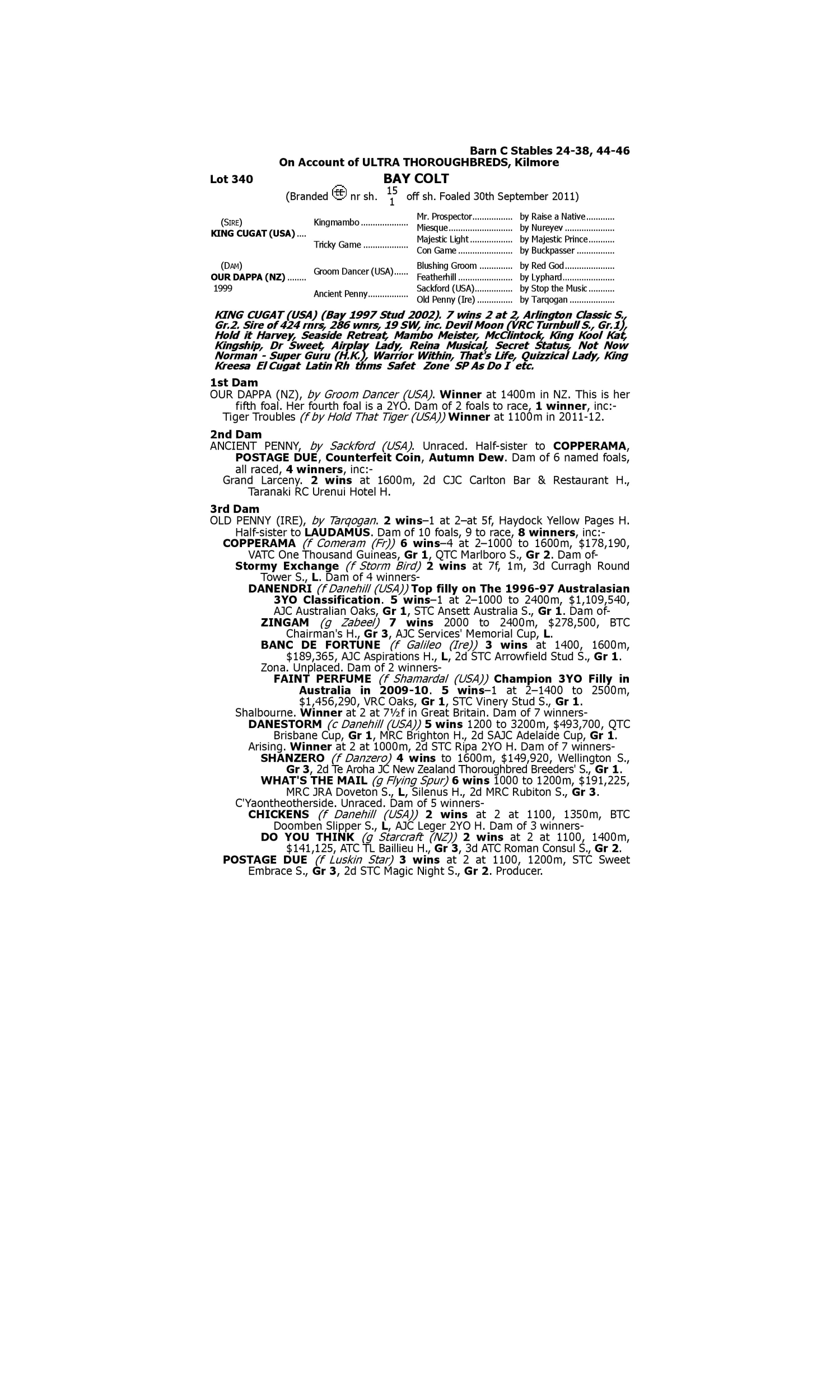 Pedigree for Lot 340 King Cugat (USA) - Our Dappa (NZ)