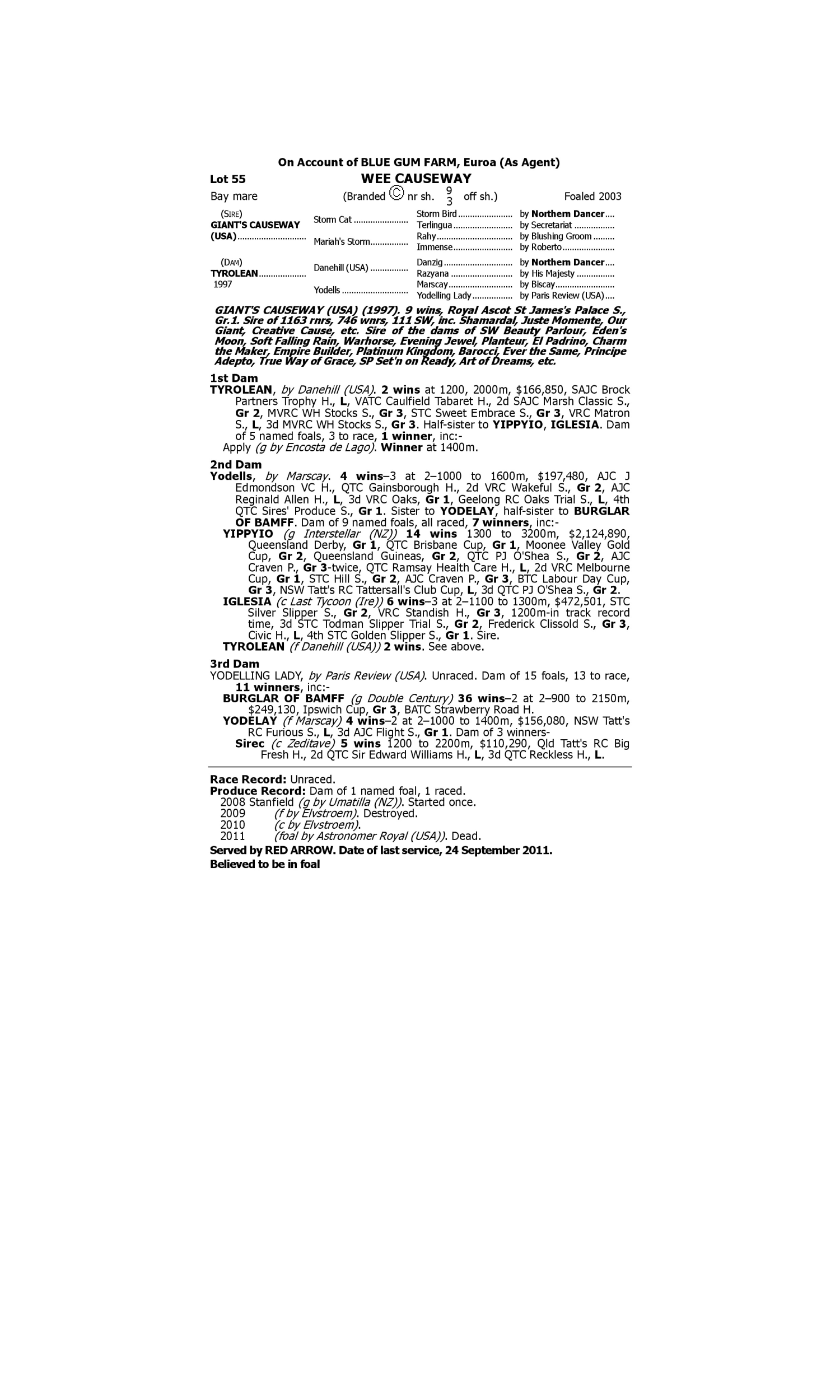 Pedigree for Lot 55 Giant's Causeway (USA) - Tyrolean
