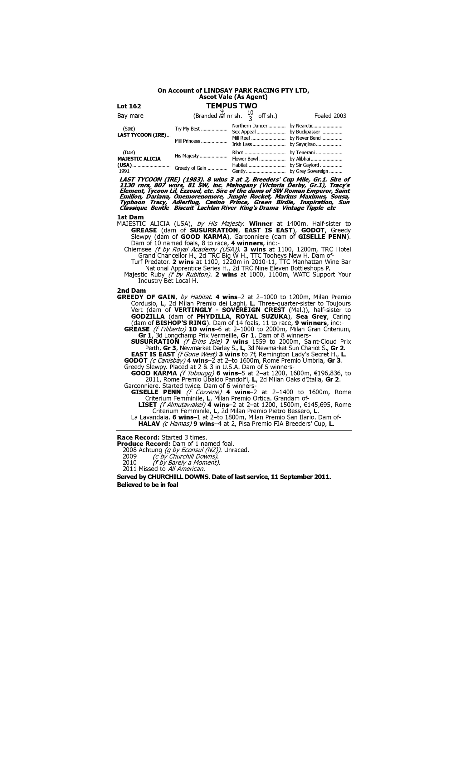 Pedigree for Lot 162 Last Tycoon (IRE) - Majestic Alicia (USA)