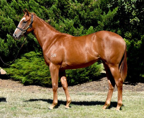 Lot 692: Thronum / Role Reversal (GB)