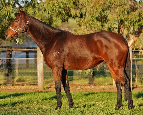 Lot 146: Duporth / Hansom Cab (USA)