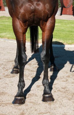 Lot 68: Keep the Faith / Miss Valley Road