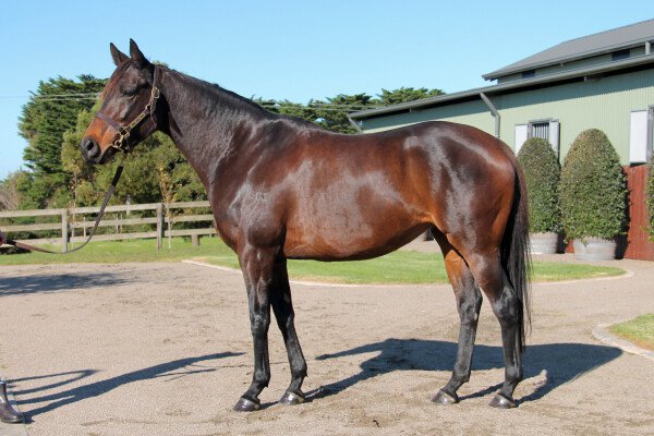 Lot 68: Keep the Faith / Miss Valley Road