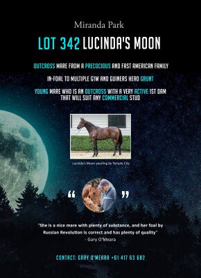 Lot 342: Malibu Moon (USA) / Lucinda K (USA)