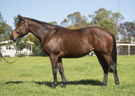 Lot 397: I Am Invincible / Issy Rose