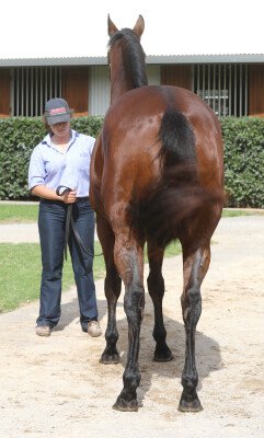 Lot 93: I Am Invincible / Danzanta (USA)