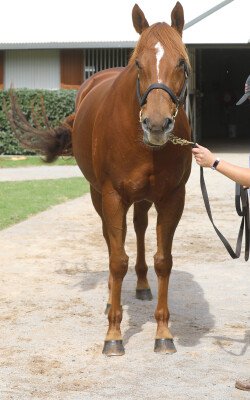 Lot 157: Barely a Moment / Europium